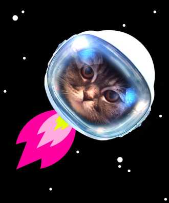 Schwarzer Hintergrund, Katzenkopf in Astronautenhelm aus dem pinke flammen kommen